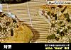 烤饼的做法