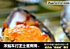 浓缩车打芝士酱焗青口贝的做法