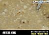 绿豆薏米粥的做法