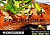 中式烤红鲑搭鲜蘑的做法