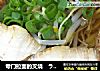 专门拉面的叉烧　ラーメン用チャーシュー的做法