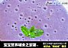 宝宝营养辅食之紫薯米糊的做法