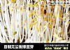 自制无公害绿豆芽的做法