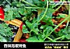 香辣泡椒烤鱼的做法