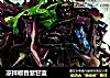 凉拌椒香紫甘蓝的做法