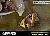 山药牛肉汤的做法