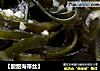 【酸甜海带丝】的做法