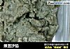 绿豆沙馅的做法