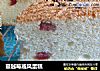 蔓越莓戚风蛋糕的做法