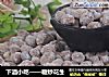 下酒小吃——糖炒花生的做法