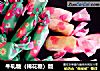 牛轧糖（棉花糖）版的做法
