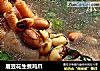眉豆花生煮鸡爪的做法