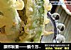 酥炸秋葵——换个方法吃秋葵的做法