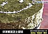 抹茶蜜豆芝士蛋糕的做法
