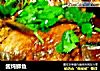 酱炖鲫鱼的做法