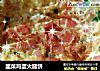 韭菜鸡蛋火腿饼的做法