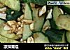 凉拌青瓜的做法