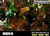糖醋排骨的做法