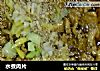 水煮肉片做法(166)的做法