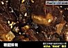 糖醋排骨做法(397)的做法