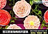 百花怒放海绵纸杯蛋糕的做法