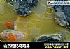 山药枸杞乌鸡汤的做法