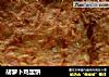 胡萝卜鸡蛋饼的做法