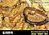 乱炖香鸡的做法