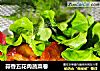蒜香五花肉蔬菜卷的做法