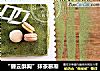 “碧云酥胸”抹茶慕斯的做法