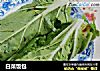 白菜饭包的做法