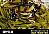 清炒茼蒿的做法