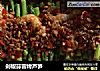 剁椒蒜蓉烤芦笋的做法