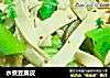 水煮豆腐皮的做法