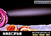 焦糖杏仁罗马盾的做法