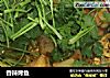 香辣烤鱼的做法