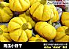 南瓜小饼干的做法