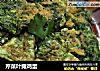 芹菜叶摊鸡蛋的做法