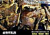 卤香炸乳鸽的做法