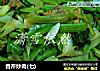 香芹炒肉(七)的做法