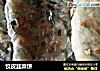 饺皮韭菜饼的做法