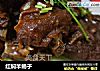 红焖羊蝎子的做法