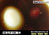 红枣鸡蛋红糖水的做法