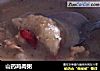 山药鸡肉粥的做法