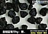 自制蓝莓干by：普蓝高科蓝莓美食特约撰稿人的做法