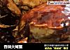 香辣大闸蟹的做法