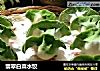 翡翠白菜水饺的做法