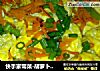 快手家常菜-胡萝卜青椒炒蛋的做法