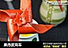 果丹皮风车的做法