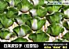 白菜皮饺子（任意馅）的做法